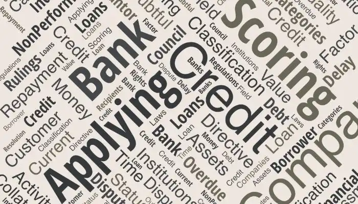 Credit Scoring of Companies Applying for Bank Loans